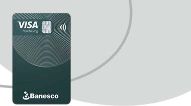 Ícono de tarjeta Visa Purchasing