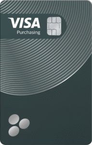 Visa Purchasing
